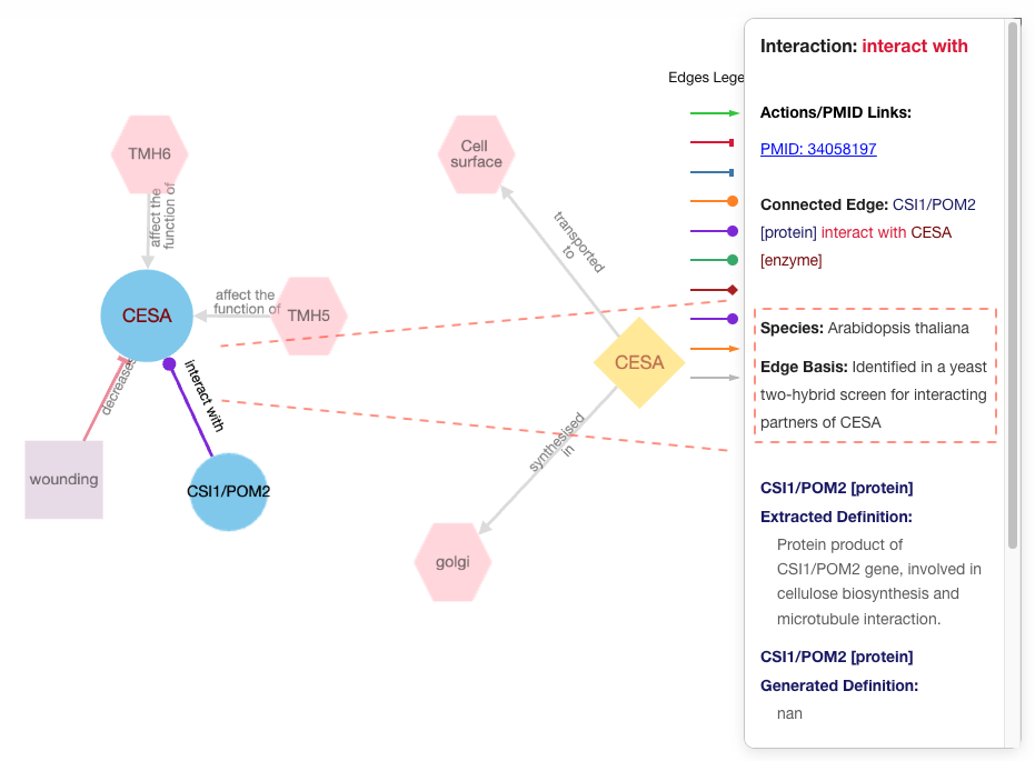 A sample entity-relationship graph