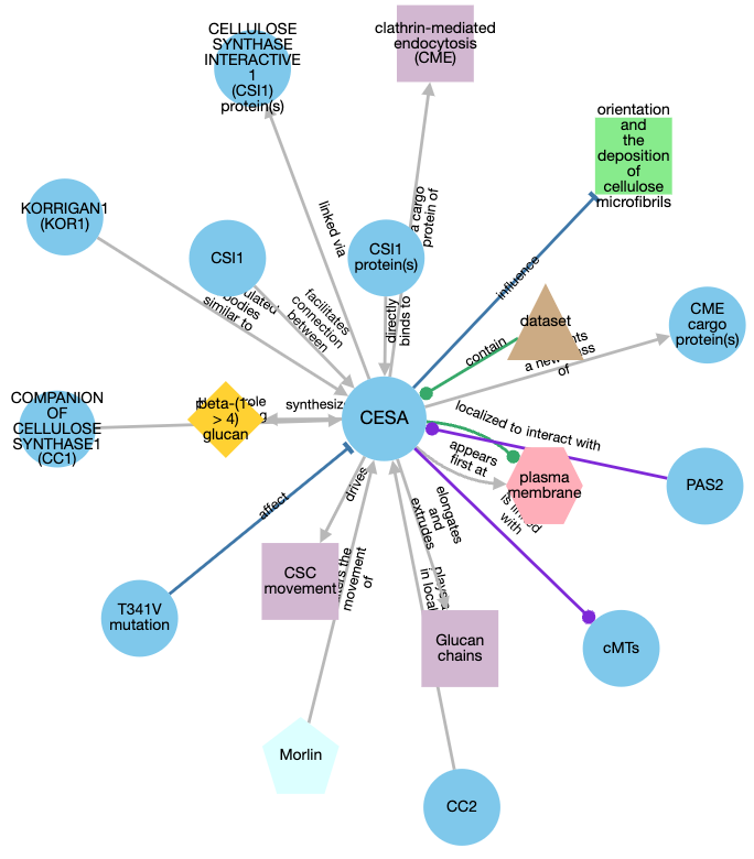 network graph